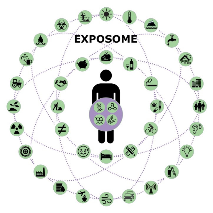 Jeudi 16 décembre : L'exposome : Une vision intégrée de l'impact de l'environnement sur le bien-être et la santé