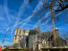 Notre Dame : La renaissance d'une charpente